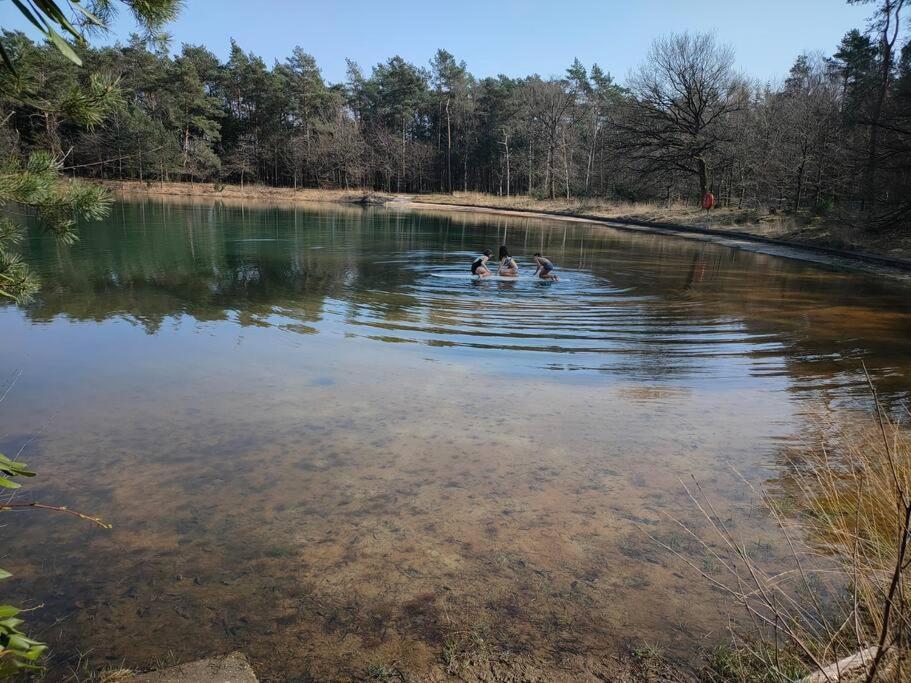 Vilsteren Kindvriendelijke Bungalow In Het Bos Bij Zwemmeer. מראה חיצוני תמונה