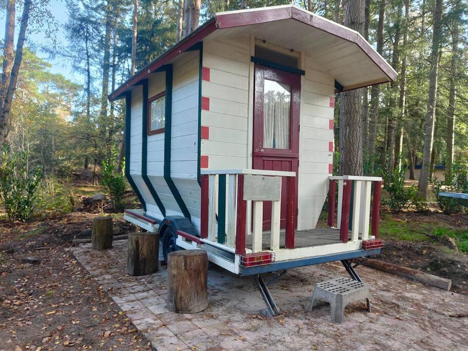 Vilsteren Kindvriendelijke Bungalow In Het Bos Bij Zwemmeer. מראה חיצוני תמונה